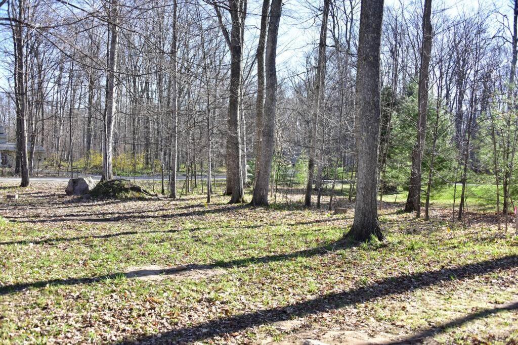 Quiet And Comfy 3Bed/2Bath - Chalet With Hot Tub. Cedar Bagian luar foto