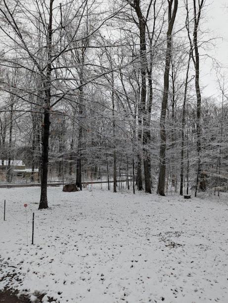 Quiet And Comfy 3Bed/2Bath - Chalet With Hot Tub. Cedar Bagian luar foto
